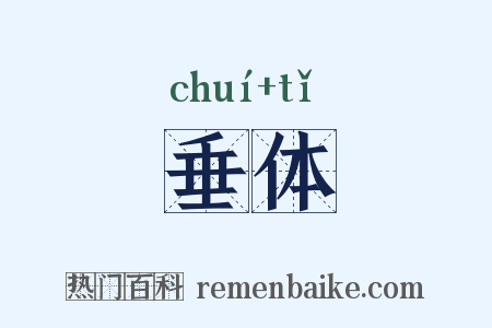 垂体是什么意思的图片